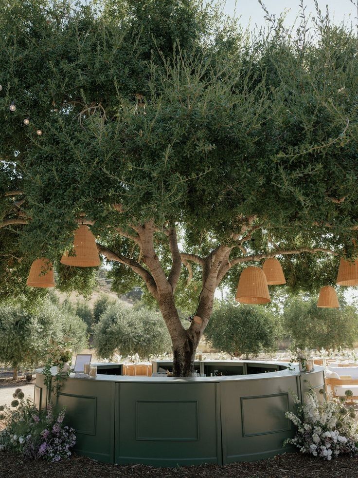 Olivos para el bar